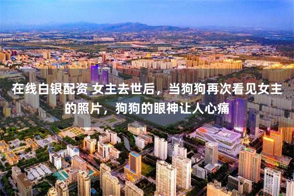在线白银配资 女主去世后，当狗狗再次看见女主的照片，狗狗的眼神让人心痛