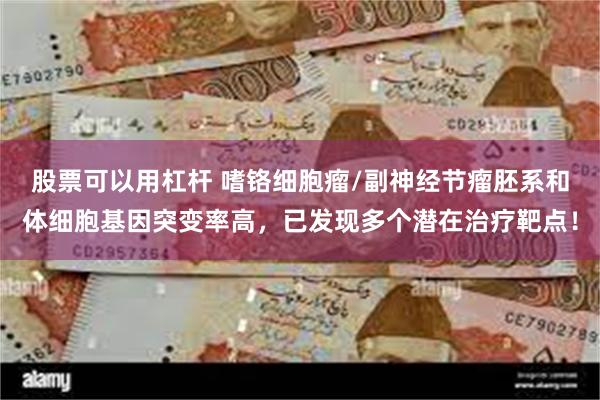 股票可以用杠杆 嗜铬细胞瘤/副神经节瘤胚系和体细胞基因突变率高,已发现多个潜在治疗靶点!