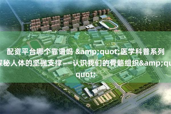 配资平台哪个靠谱吗 "医学科普系列:探秘人体的坚强支撑——认识我们的骨骼组织"