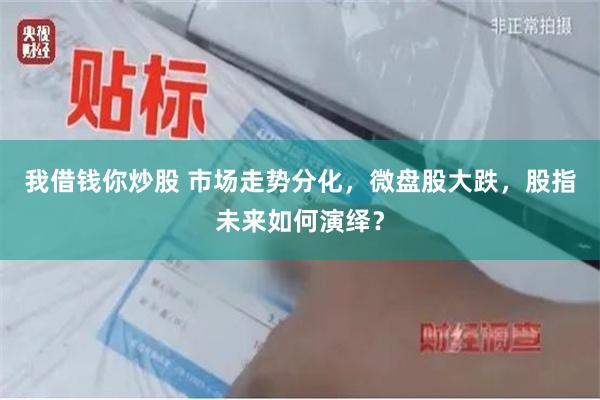 我借钱你炒股 市场走势分化,微盘股大跌,股指未来如何演绎?
