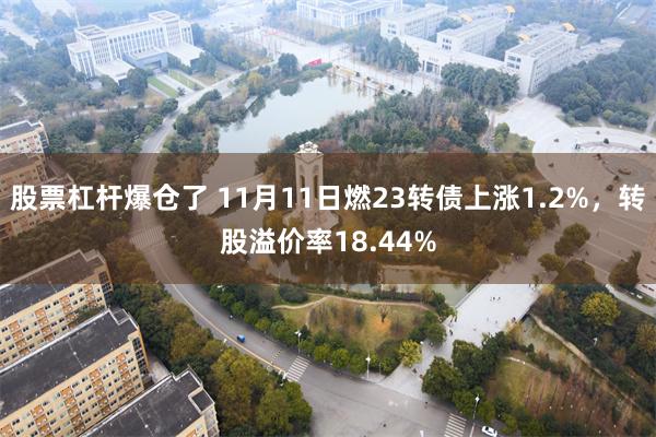 股票杠杆爆仓了 11月11日燃23转债上涨1.2%,转股溢价率18.44%