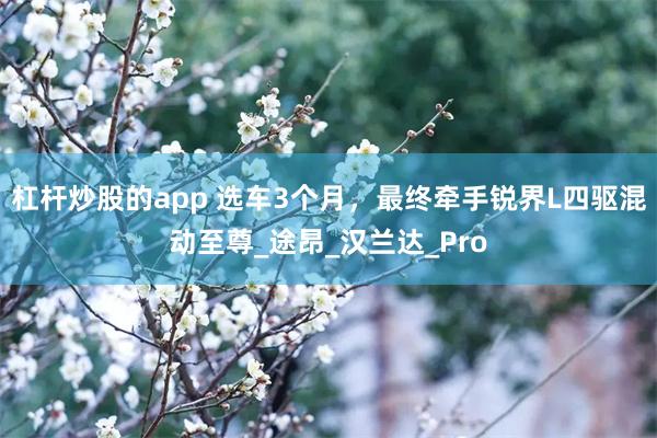 杠杆炒股的app 选车3个月,最终牵手锐界L四驱混动至尊_途昂_汉兰达_Pro