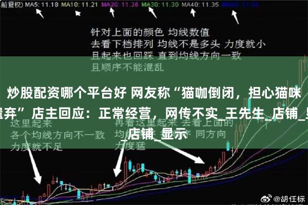 炒股配资哪个平台好 网友称“猫咖倒闭,担心猫咪被遗弃” 店主回应:正常经营,网传不实_王先生_店铺_显示