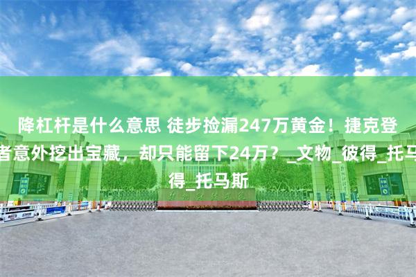 降杠杆是什么意思 徒步捡漏247万黄金!捷克登山者意外挖出宝藏,却只能留下24万?_文物_彼得_托马斯