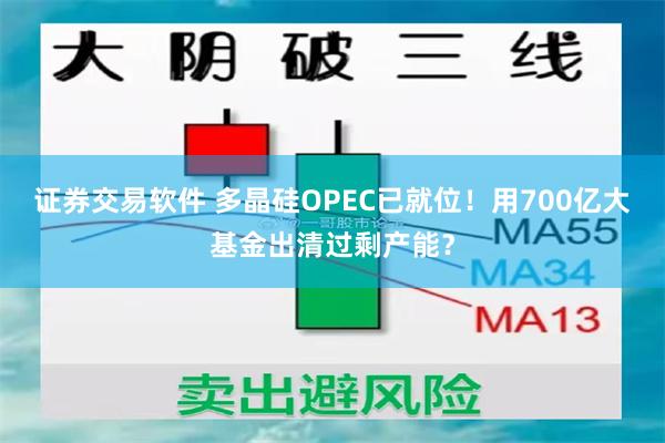 证券交易软件 多晶硅OPEC已就位!用700亿大基金出清过剩产能?