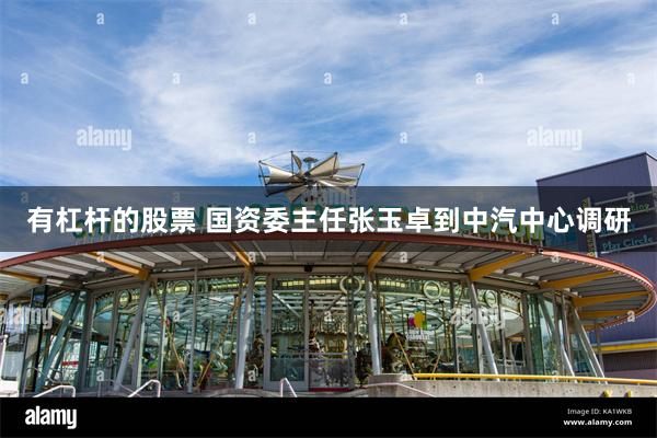有杠杆的股票 国资委主任张玉卓到中汽中心调研