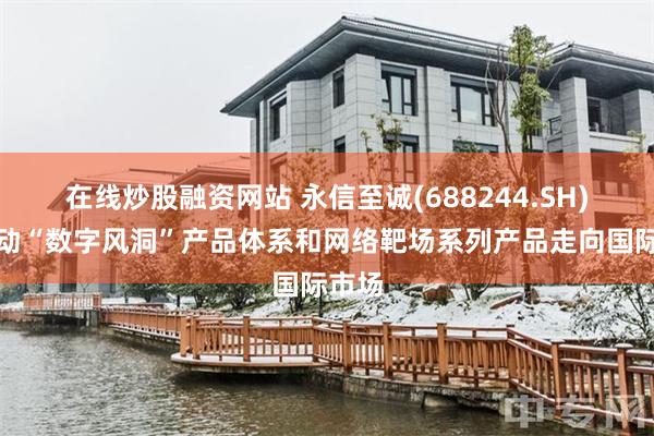 在线炒股融资网站 永信至诚(688244.SH)：推动“数字风洞”产品体系和网络靶场系列产品走向国际市场