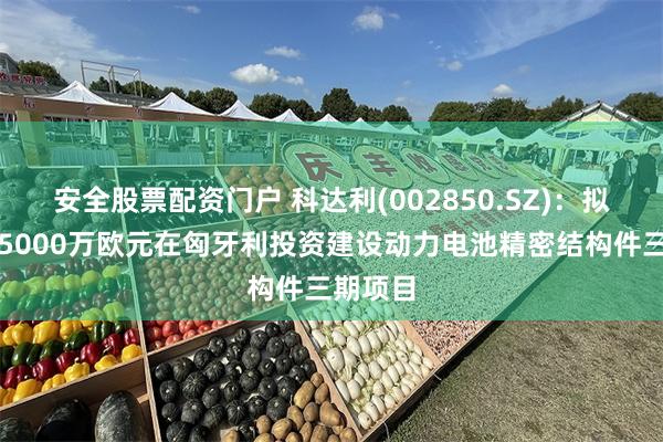 安全股票配资门户 科达利(002850.SZ):拟不超过5000万欧元在匈牙利投资建设动力电池精密结构件三期项目