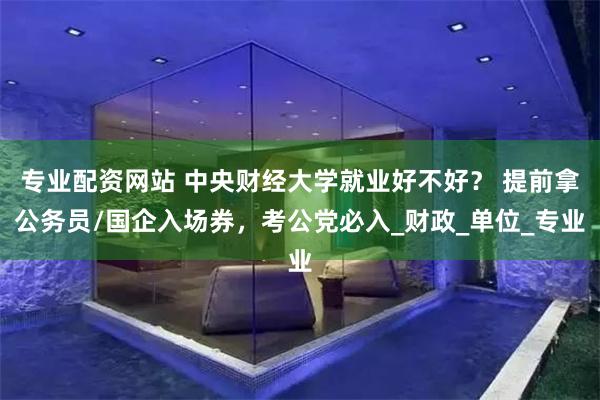 专业配资网站 中央财经大学就业好不好？ 提前拿公务员/国企入场券，考公党必入_财政_单位_专业