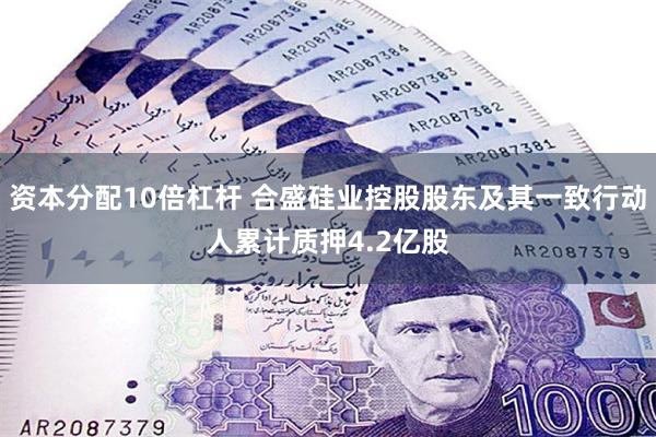 资本分配10倍杠杆 合盛硅业控股股东及其一致行动人累计质押4.2亿股